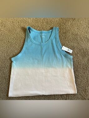 American Eagle Outfitters Light Blue to White Ombre Tank.